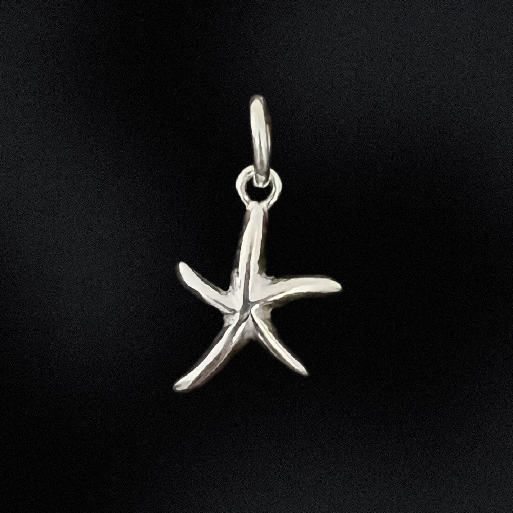 Small Starfish Charm